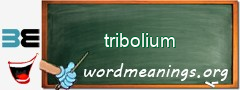 WordMeaning blackboard for tribolium